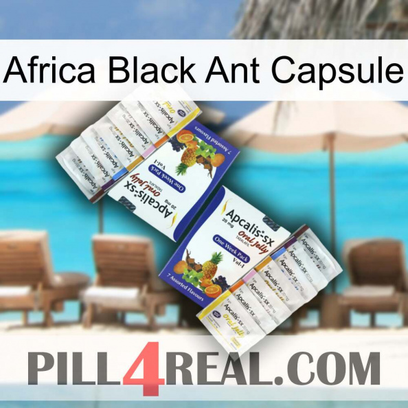 Africa Black Ant Capsule 12.jpg